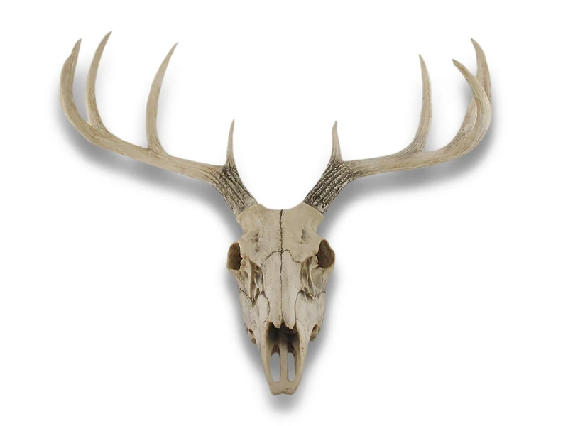 Things2Die4 10 Point Buck Deer Skull Bust Wall Hanging
