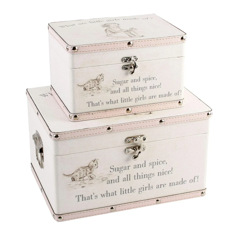 Online Garden Centre Luggage series - Set of 2 Baby Storage Boxes - Little Girls - Image 1