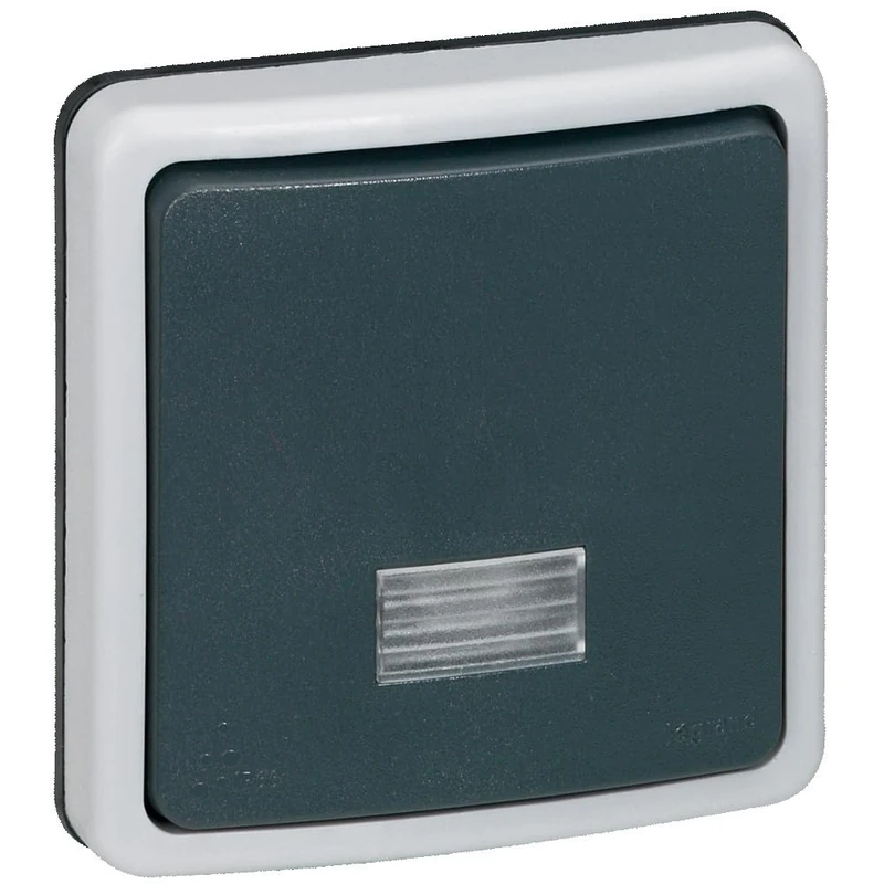 Legrand LEG90480 Between Two-Way Switch with Indicator Light 10 A for Assembly 66 Range-Grey-IP66/ik08 Protection