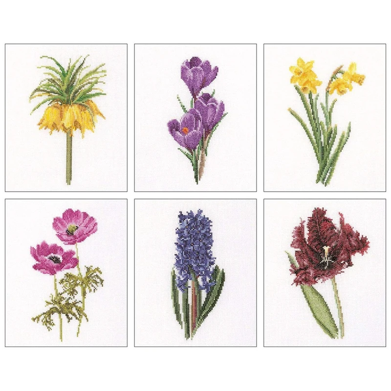 Thea Gouverneur Floral Studies 3 On Aida Cross Stitch Kit-6.75 x 8-inch 18 Count (Set of 6), Fabric, 6 x 17x20cm