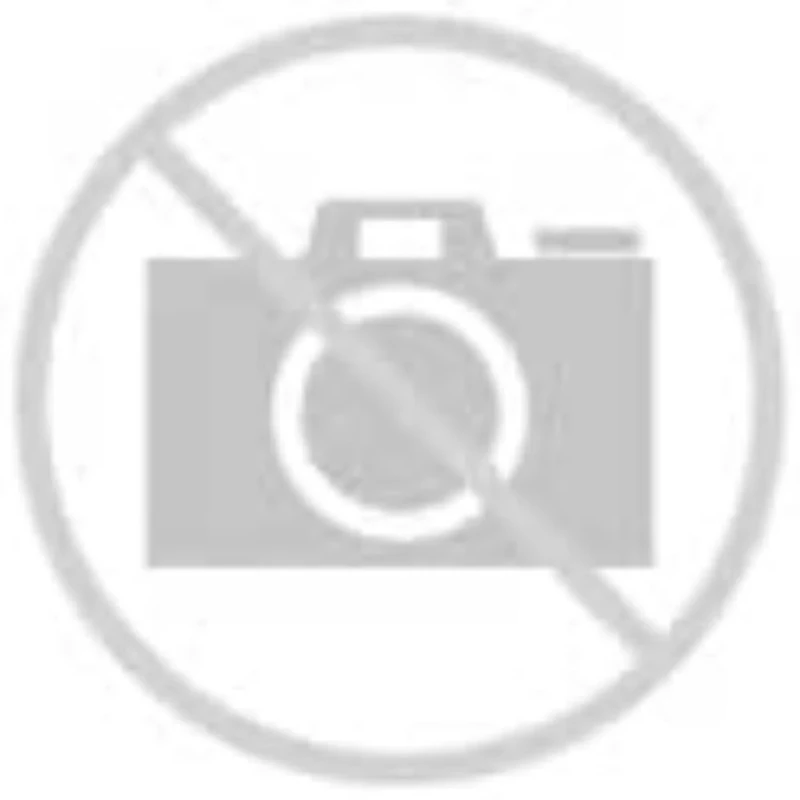 febi bilstein 39513 Air Spring with steel piston, pack of one