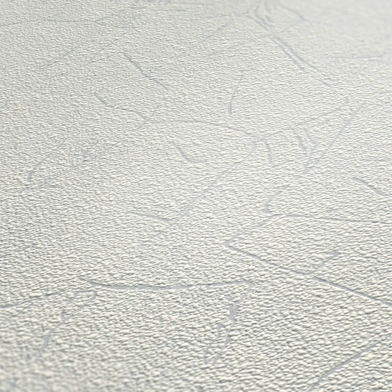 A.S. Création Paintable Non-Woven Wallpaper 25 x 1.06 m Made in Germany 5871 200 White – 14