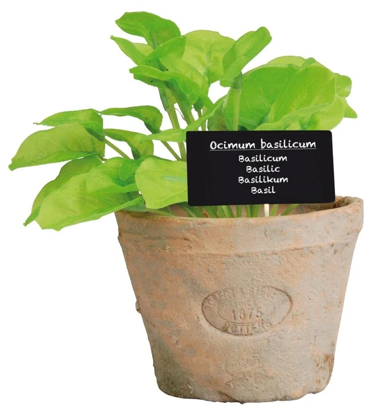 Esschert's Design AH008 Large Artificial Aged Terracotta Pot - Basil