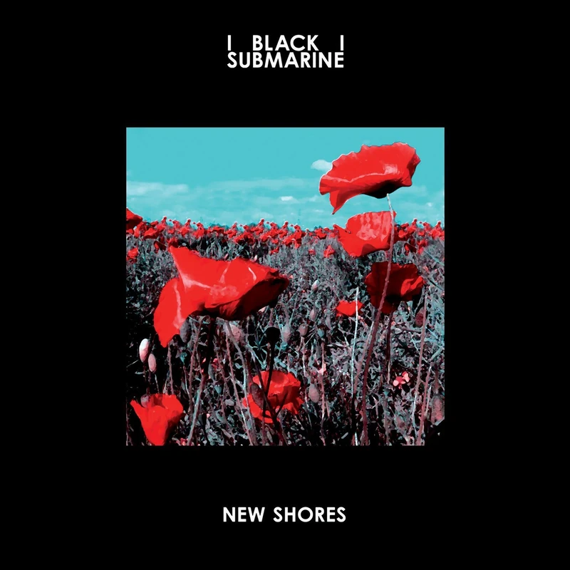New Shores [VINYL]
