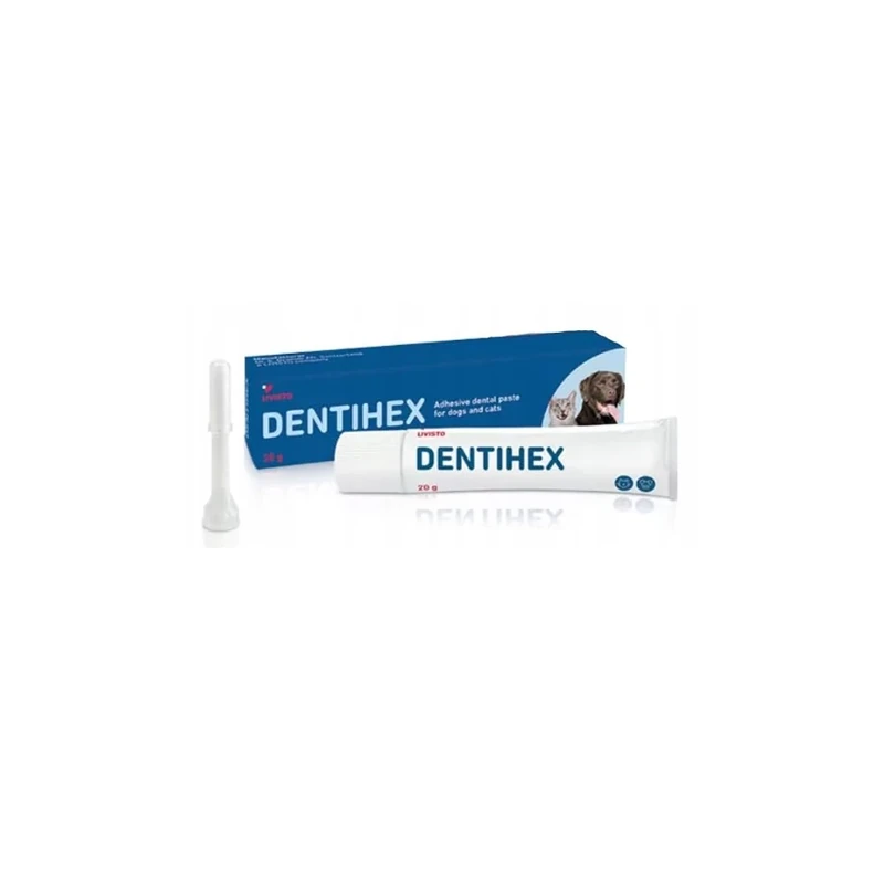 Dentisept Toothpaste - 20g