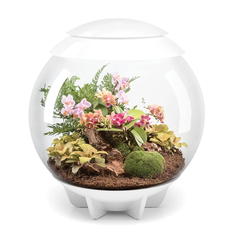 BiOrbAIR 60 Litre Automatic Terrarium in White with LED Lighting