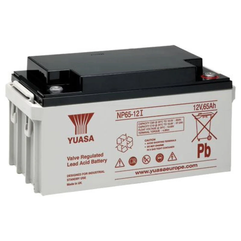 Yuasa NP65-12 12V Lead Acid Battery, UPS Backup Alarm and Emergency Battery (Pack of 1)