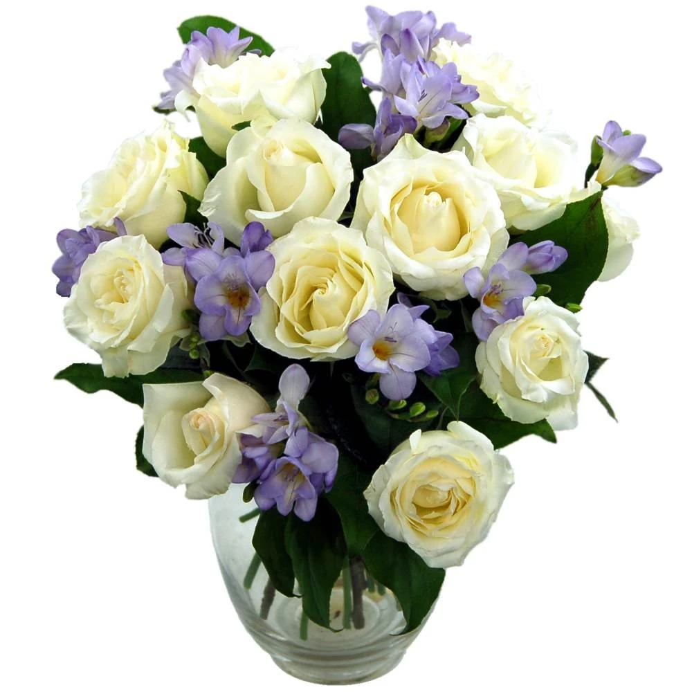 Clare Florist Breathtaking Amethyst Bouquet with Next Day Delivery - Rose and Freesia Fresh Flowers