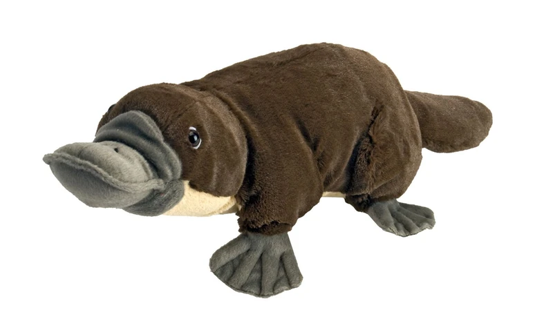 Wild Republic Platypus Plush, Stuffed Animal, Plush Toy, Gifts for Kids, Cuddlekins 12" (13459), Brown