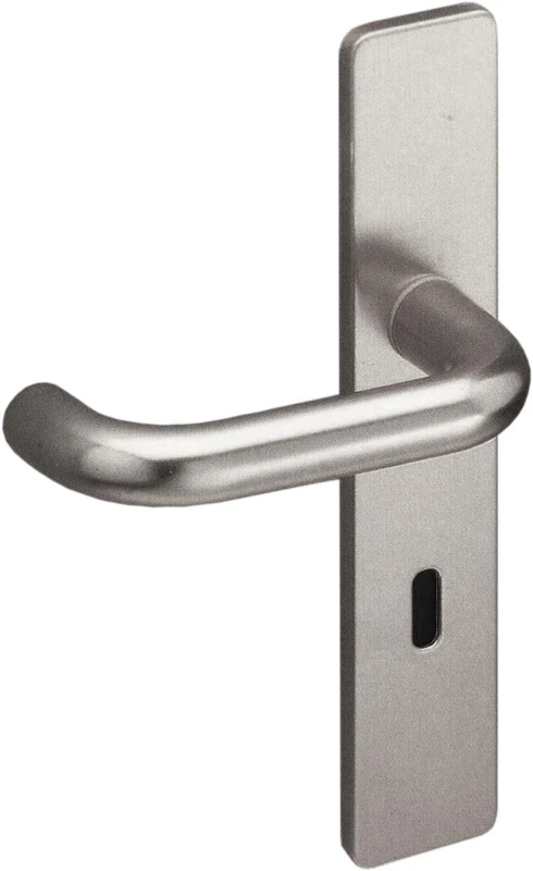 Vachette BERCY Door Handle on Large Plate - Key Version for Bedroom/Office Door Spacing 195 mm - Easy Installation System - Durable Zamak - Silver Finish
