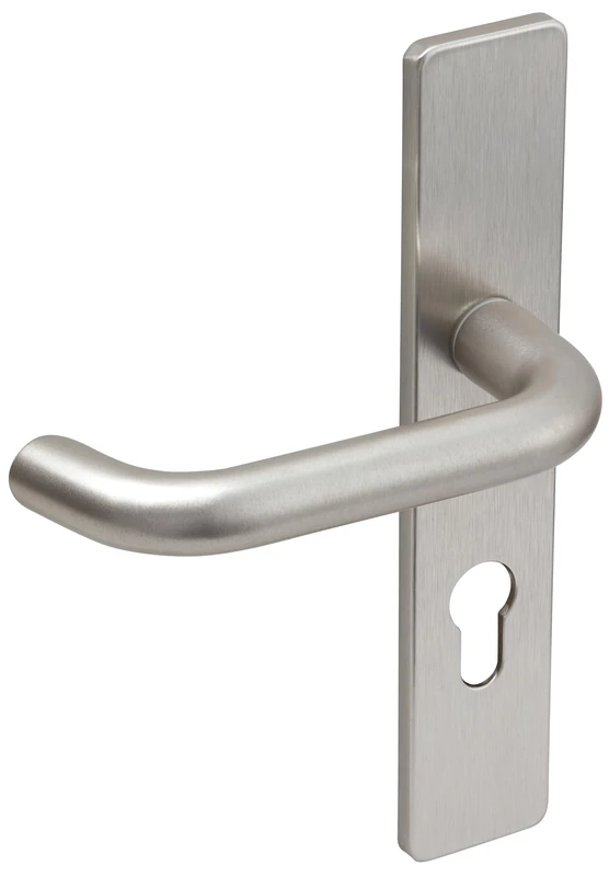 Vachette BERCY Door Handle on Large Plate Key I Version for Entrance Door/Basement/Office/Garage, Hole Spacing 195 mm – Easy Installation System – Durable Zamak – Silver Finish