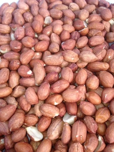 5KG PEANUTS Basic No Frills Peanuts for Feeding Wildlife & Garden Birds