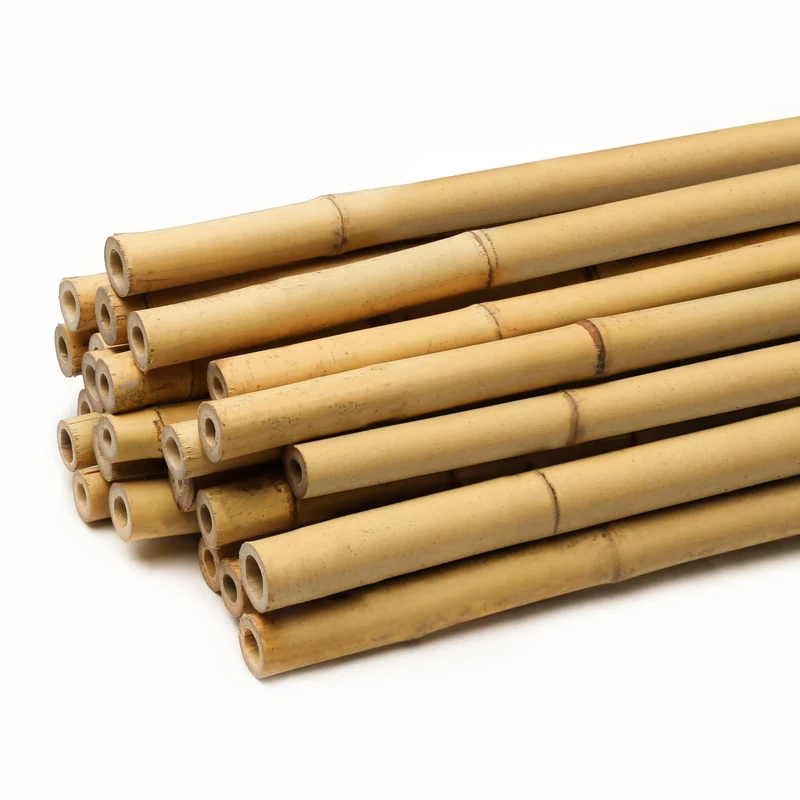 FunkyBuys Thick Bamboo Canes - Heavy Duty, Natural Garden Stakes, Strong Bamboo Sticks for Plant Support - Ideal for Gardens and Outdoor Spaces pack of 100, 6FT, (14-16mm)