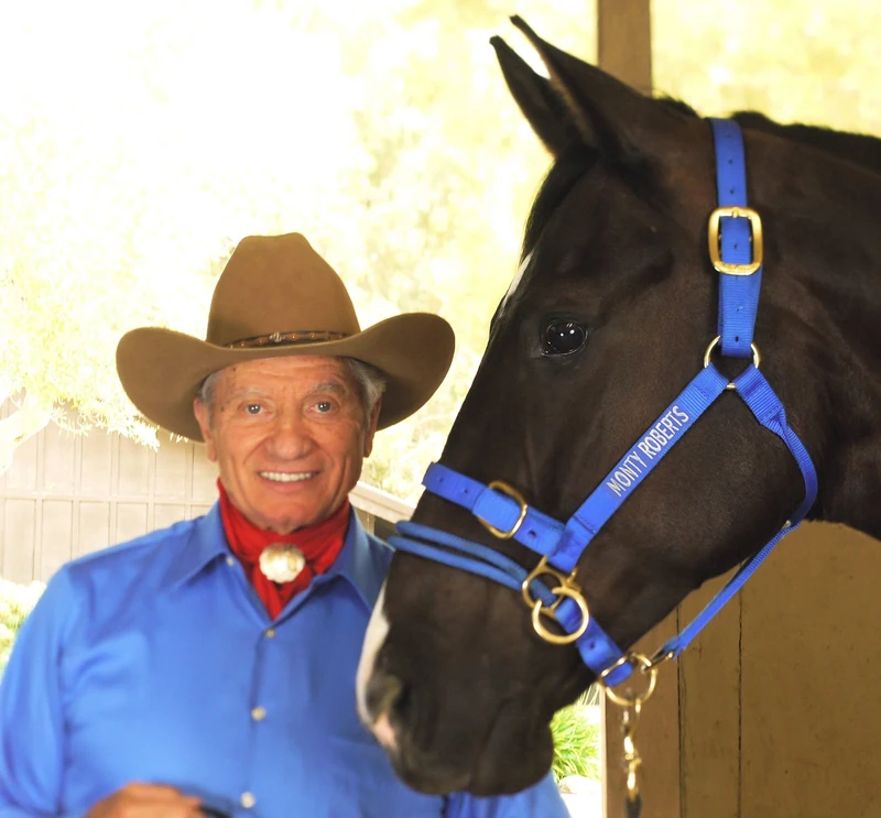 Monty Roberts Official Dually Training Halter LARGE/DRAFT (with FREE DVD)