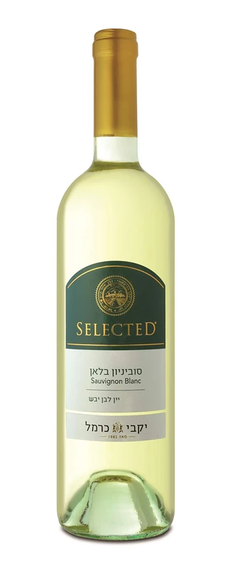 Carmel Selected Sauvignon Blanc 75 cl Kosher (Case of 6)