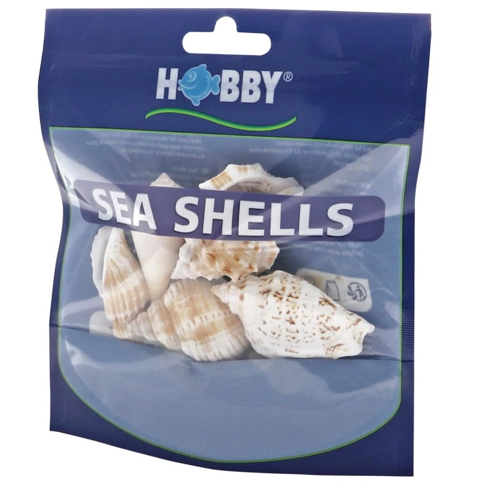 Hobby Sea Shells Set