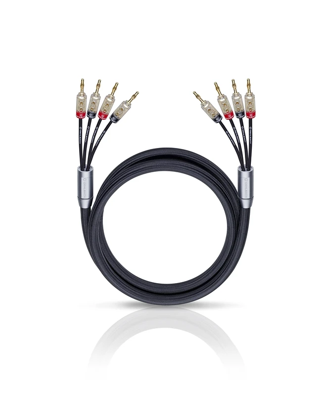 Oehlbach XXL Fusion Four Cable 2 x 2.5 m)