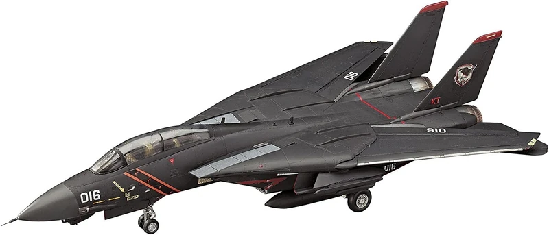 ハセガワ 1/72 ACE Combat Razgriz F14A Tomcat