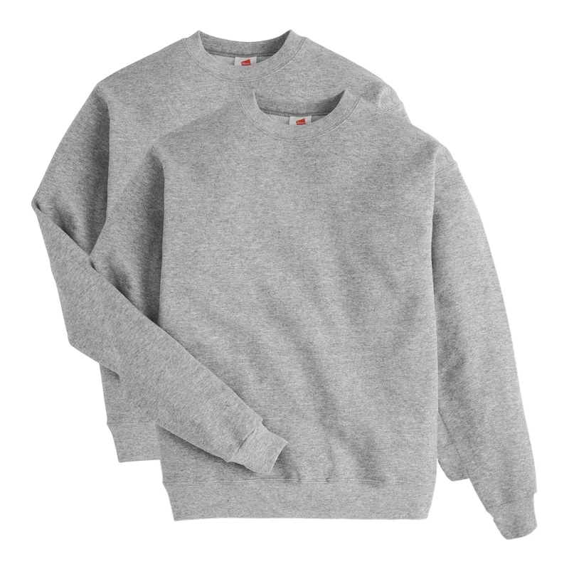 Hanes Men's EcoSmart Fleece Sweatshirt, Light Steel, X-Large (Pack of 2)