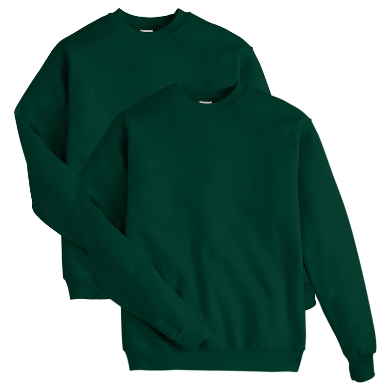 Hanes Men's 2 Pack EcoSmart Fleece Sweatshirt, Deep Forest, Small