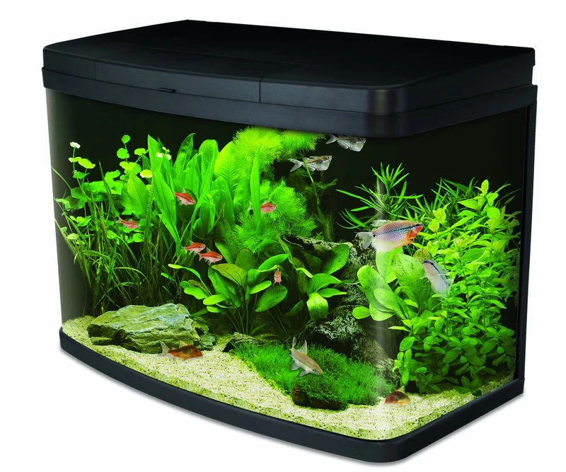 Interpet Insight Glass Aquarium Fish Tank Starter Kit, with LED Lights, Easy Care Filter, Heater, Aquacare Reminder System, Water Condiditioner, 64 L