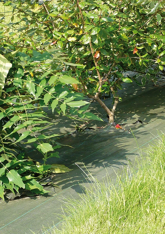 Vilmorin Pail Tis Green Canvas 1.05 x 10 TL