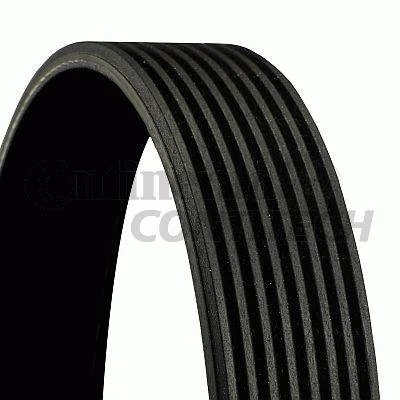 Contitech 6750610736 Belt Grooved - Image 1