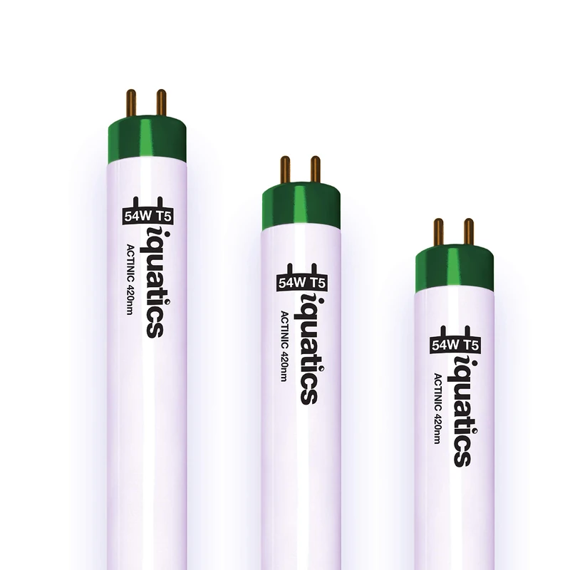 iQuatics Juwel Compatible Aquarium Fluorescent Light Bulb T5 (3 Pack), Actinic, 54w 1200mm 48”