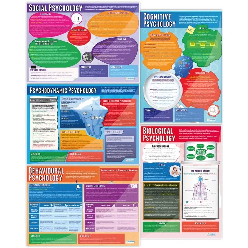 Daydream Education Psychological Approaches Classroom Posters - Set of 5 - EXTRA LARGE - A1 (850mm x 594mm) - Gloss Paper - Psychology Secondary School Wall Charts