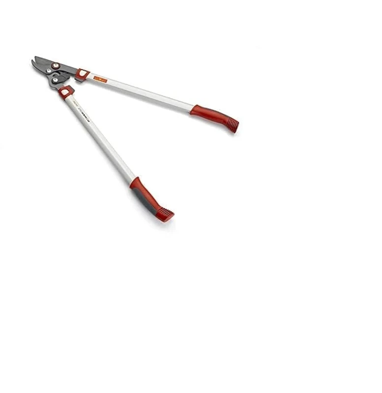 Sage – Secateurs or900t - Image 1