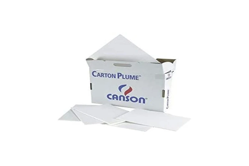 Canson Paper Sheet 50 x 65 cm Thickness 3 mm White Pack of 30