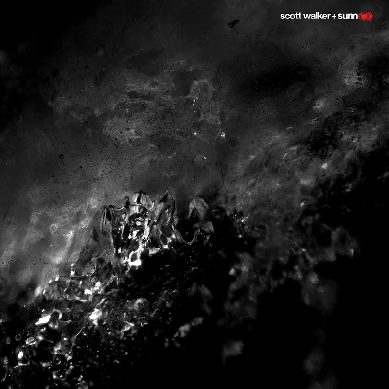 Soused [VINYL]