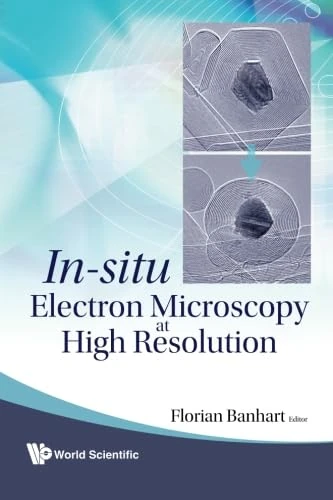 In-Situ Electron Microscopy At High Resolution