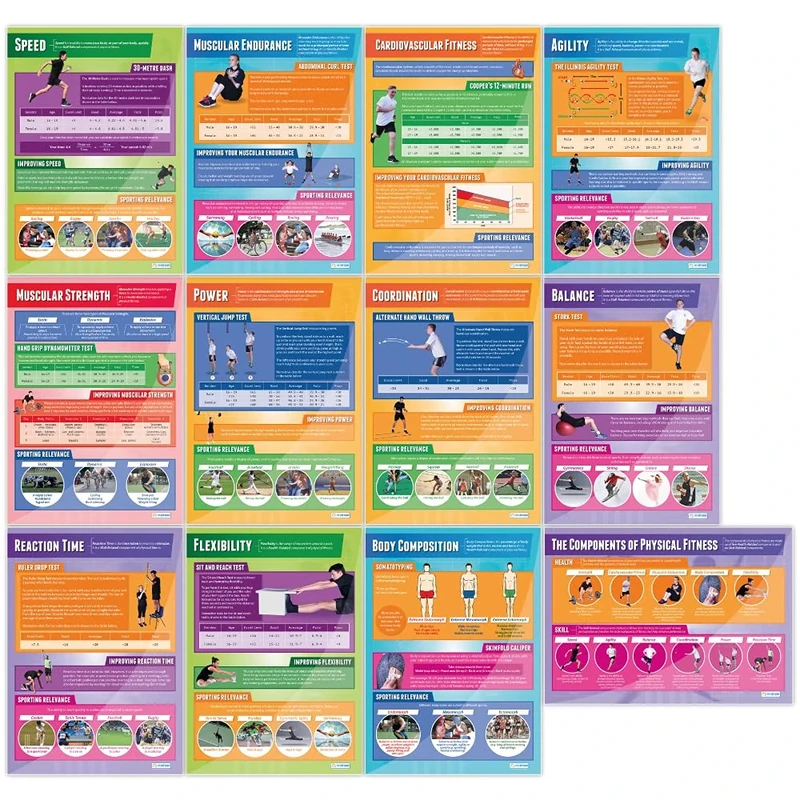 Daydream Education Components of Physical Fitness Classroom Posters - Set of 12 - EXTRA LARGE - A1 (850mm x 594mm) - Gloss Paper - PE Secondary School Wall Charts
