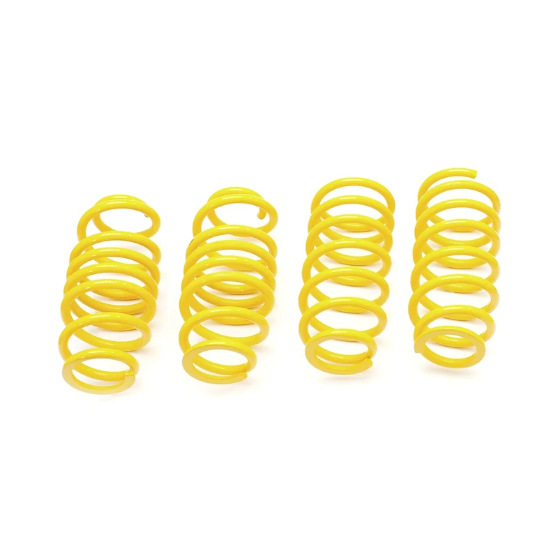ST 28220184 Lowering Springs - Image 1