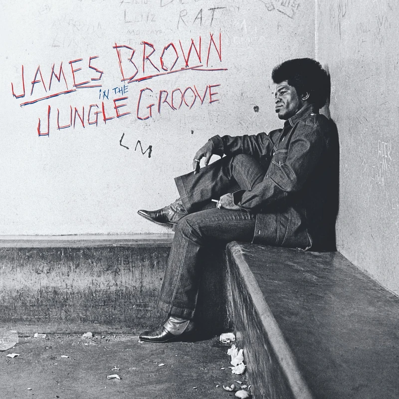 In The Jungle Groove [VINYL]
