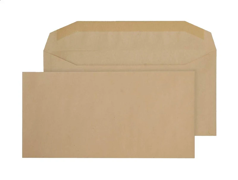 Blake Envelopes Purely Everyday 1004 Kuvertierhüllen Briefumschläge Naßklebung Manille DL+ 121 x 235 mm 80g/m² | 1000 Stück