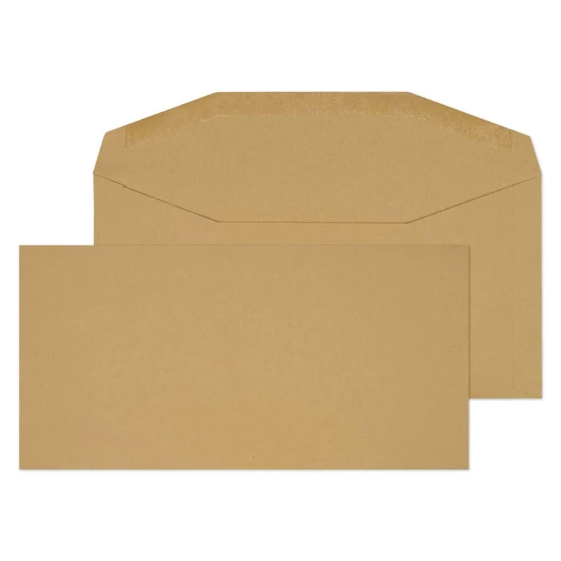 Blake Purely Everyday DL+ 114 x 229 mm 80 gsm Gummed Mailer Envelopes (2703) Manilla - Pack of 1000