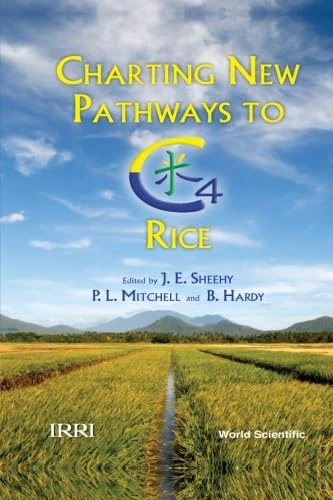 Charting New Pathways To C4 Rice