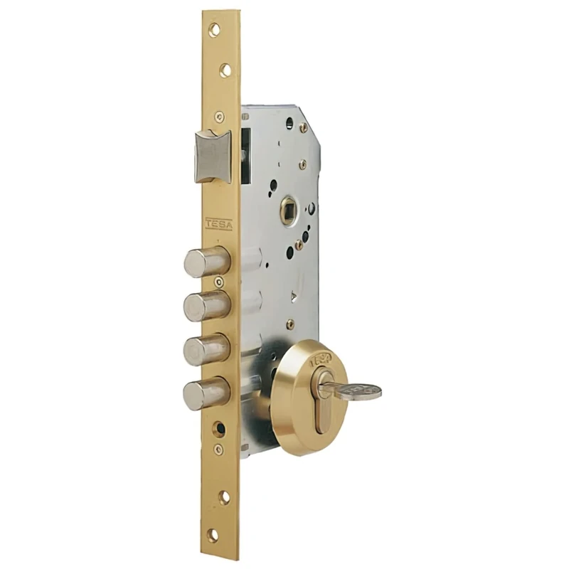 Tesa 3010258 – R100b566 – Security Lock (Enamel)