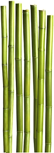 PLAGE 803913 STICKERS - WALL ADHESIVE Size 3XL - Bamboo, 170 x 60 cm