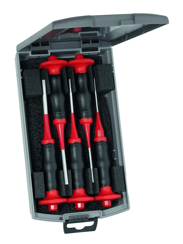 Rennsteig 425 502 6 "Exclusive" Parallel Pin Punch Set with Handguard, Red