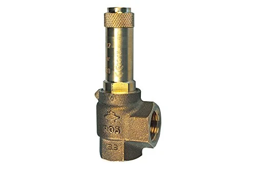 RIEGLER – Corner Safety Valve for G2 Steam Saturated, Adjust 0.2 Bar Pressure Ri 222.08 – 0.2