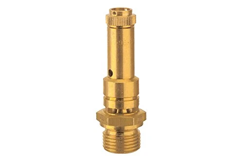 RIEGLER – Total Lift Safety Valve DN 8 1/4 Theme Pressure 14.3 bar-226.01 – 14.3