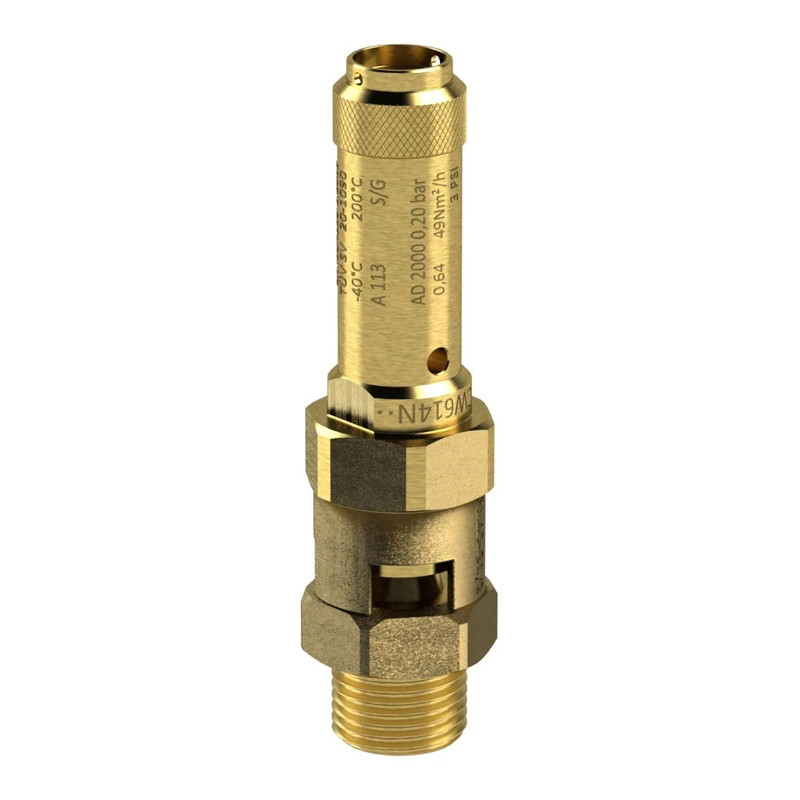 RIEGLER 105046-229.06-0.5 Safety Valve Brass G 2 Contact Pressure 0.5 Bar Pack of 1