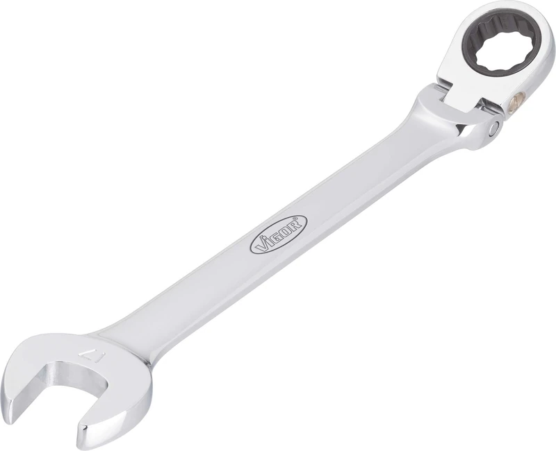 Vigor V2817 Ratcheting Combination Wrench, 25 cm