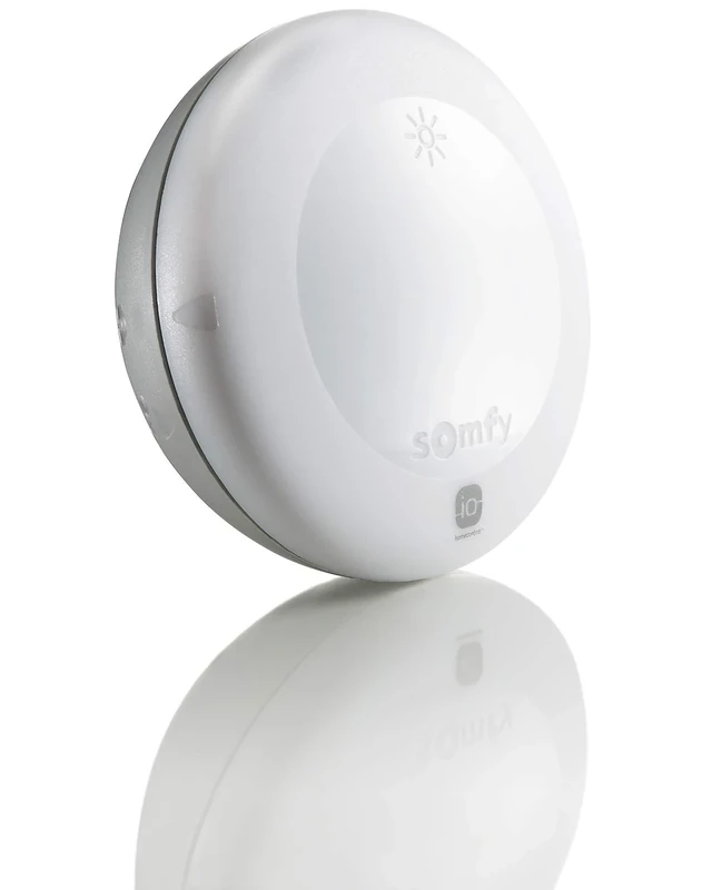 Somfy 2401219 - Sunis Wirefree io | Wireless outdoor sun sensor | TaHoma compatible