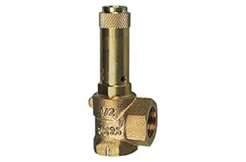 RIEGLER – Safety Valve ECK, G 1, Set 2.5 Bar of Pressure Ri 221.05 – 2.5