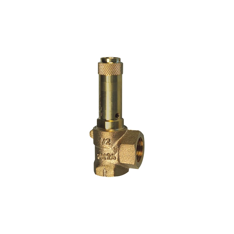 RIEGLER – Safety Valve ECK, G 3/4, Adjust 10 Bar Pressure Ri 221.04 – 10.0