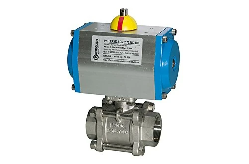 Riegler Stainless Steel Ball Valve Double Effect Cylinder Rp 1/2 dn 15